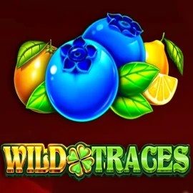 Play Wild Traces slot by Amusnet Interactive on bonuskongg.com